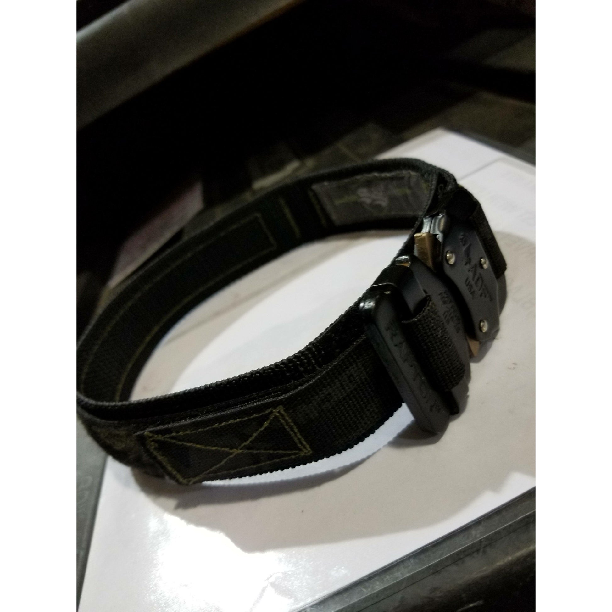 K9 Raptor Buckle Collar Medium Duty by Sword and Shield Strategic - Sword and Shield Strategic