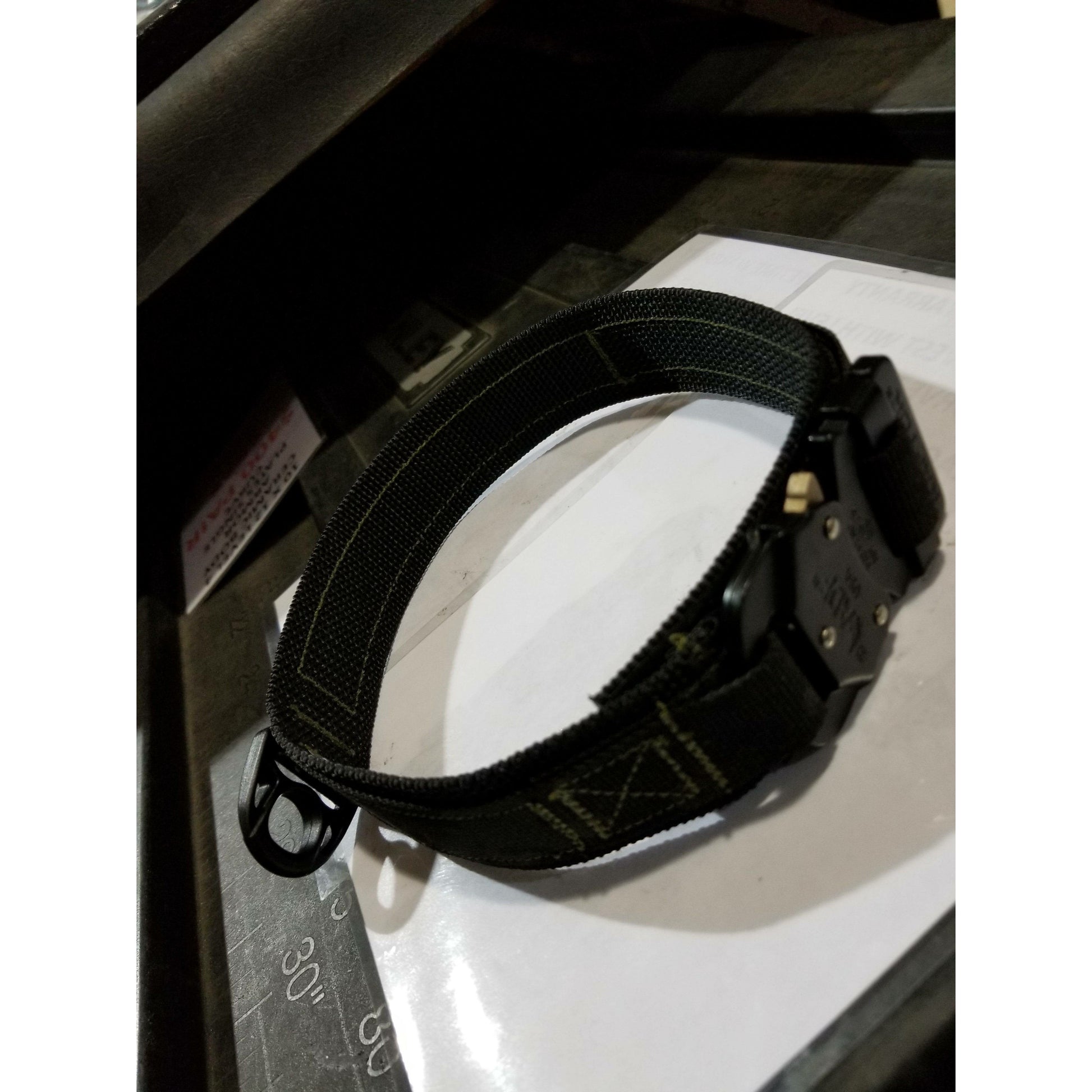 K9 Raptor Buckle Collar Medium Duty by Sword and Shield Strategic - Sword and Shield Strategic