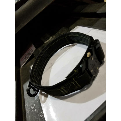 K9 Raptor Buckle Collar Medium Duty by Sword and Shield Strategic - Sword and Shield Strategic