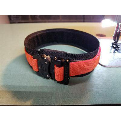 K9 Raptor Buckle Collar Medium Duty by Sword and Shield Strategic - Sword and Shield Strategic